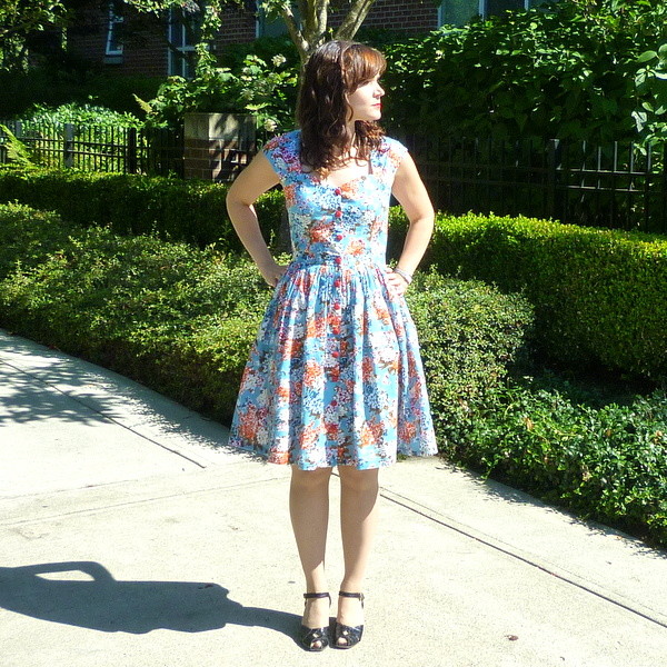button front cambie dress 